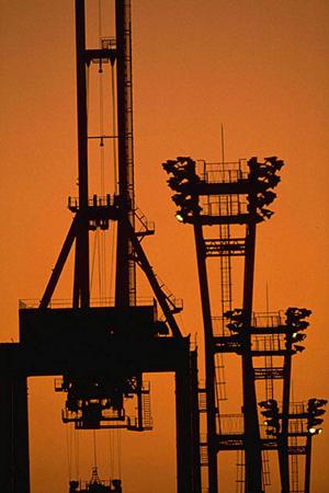 業務用厨房機器の通販を行っている